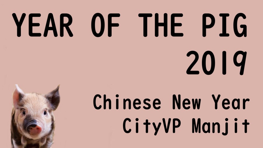 YEAR OF THE PIG
2019

t 9 Chinese New Year

6) CityVP Manjit