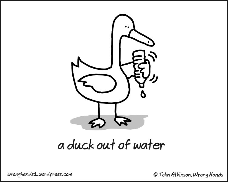 ce)

a duck out of water

 

wronghands1. wordpress.com © Tohn Atkinson, Wrong Hands