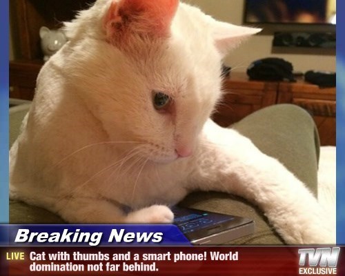 Breaking News _—

UVE Cat with thumbs and a smart phone! World
‘domination net far behind.