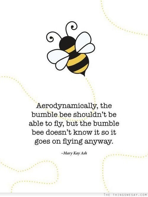 Aerodynamically, the
bumble bee shouldn't be
able to fly, but the bumble
bee doesn’t know it so it
goes on flying anyway.

Mary Kay Ash