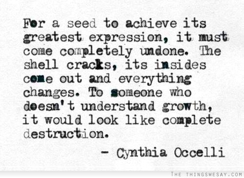 Fer a seed to achieve its
greatest expression, it must
come corpletely undone. The
shell cracks, its imsides
ceme out and everything
changes. To someone who
doesn't understand growth,
it would look like complete
destruction.

- Cynthia Occelli