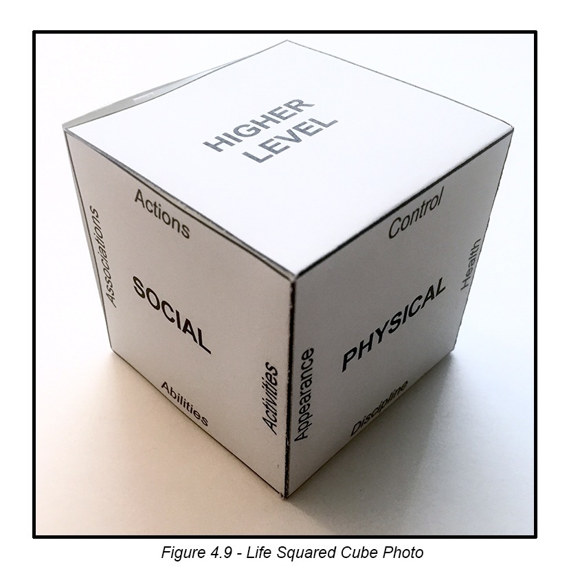 ‘At

Figure 4.9 - Life Squared Cube Photo