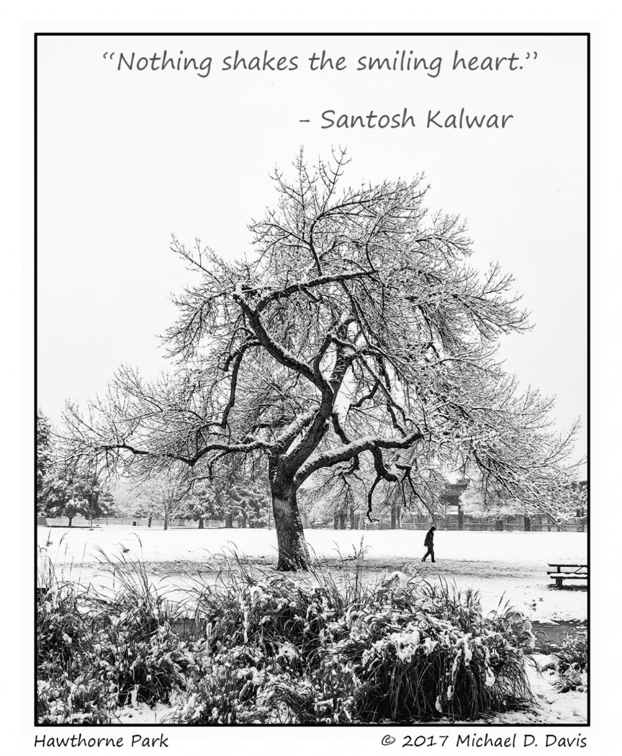 “Nothing shakes the smiling heart.”

- Santosh Kalwar

 

Hawthorne Park ® 2017 Michael D. Davis