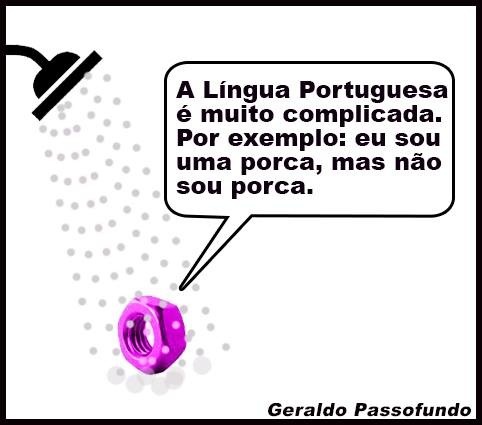 A Lingua Portuguesa
6 muito complicada.
Por exemplo: eu sou
uma porca, mas nao
sou porca.

13

Geraldo Passofundo