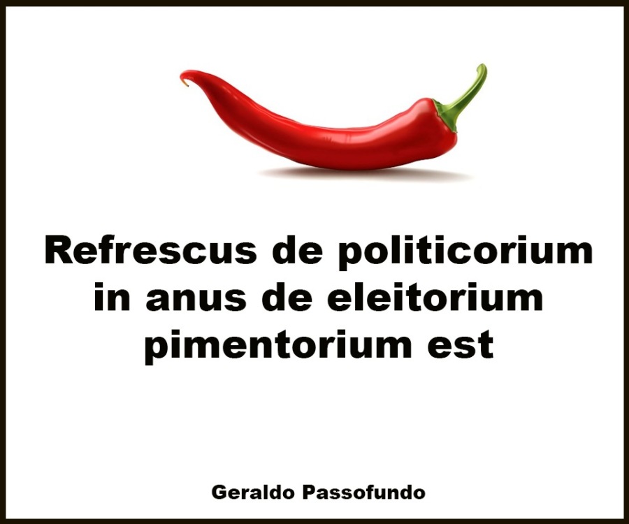 Ng’

Refrescus de politicorium

in anus de eleitorium
pimentorium est

 

Geraldo Passofundo