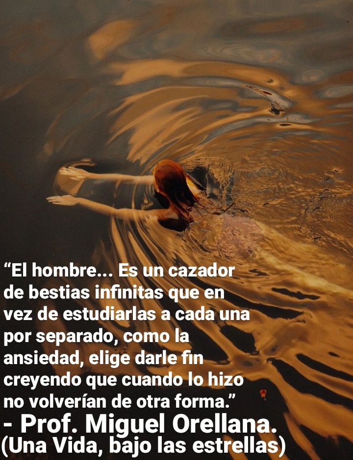 “El hombre... Es un cazador
de bestias infinitas que en
vez de estudiarlas a cada una
por separado, como la
ansiedad, elige darle fin
creyendo que cuando lo hizo
no volverian de otra forma.”
- Prof. Miguel Orellana.
(Una Vida, bajo las estrellas)