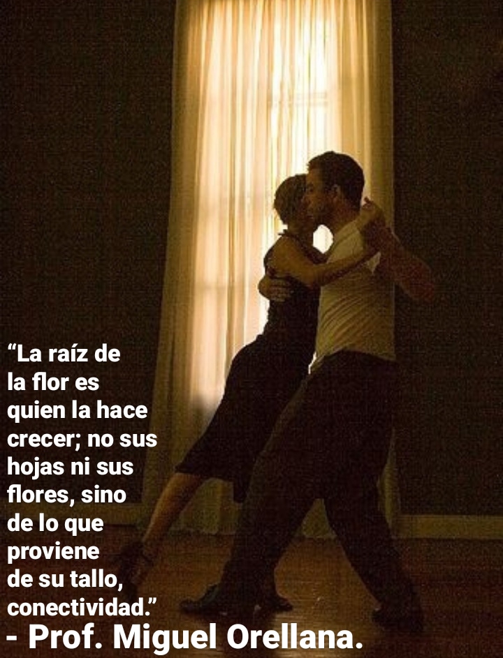 “La raiz de
la flor es
quien la hace
crecer; no sus
hojas ni sus
flores, sino
de lo que
proviene
de su tallo,
conectividad.”
- Prof. Miguel Orellana.