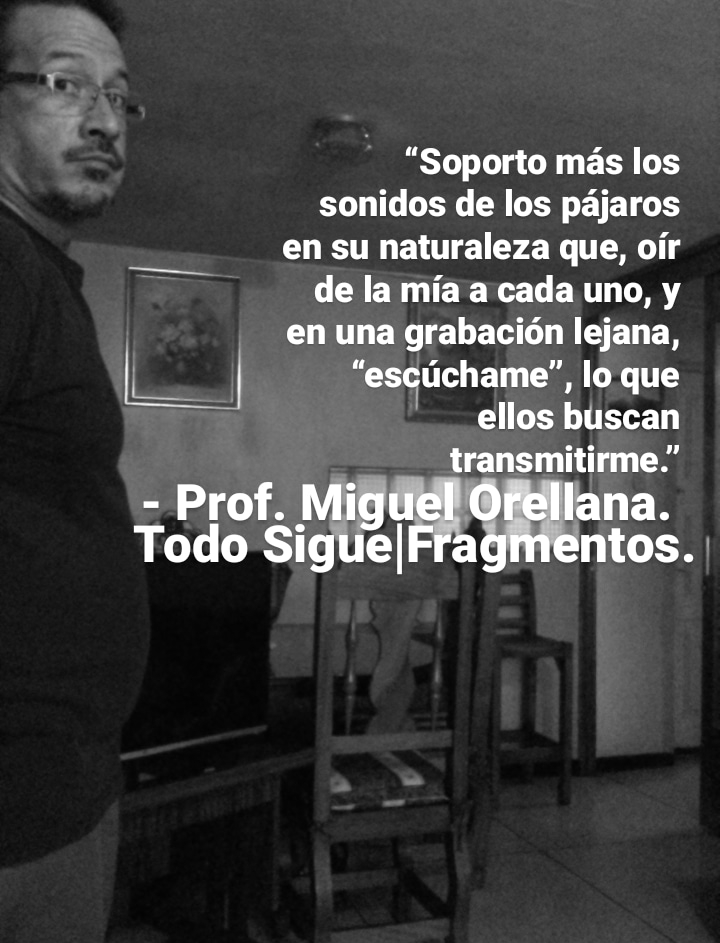 Cy
“Soporto mas los
sonidos de los pajaros
en su naturaleza que, oir
de la mia a cada uno, y
en una grabacion lejana,
Eo “escuchame”, lo que
; ellos buscan
transmitirme.”
- Prof. na.
Todo Ohana.
—~—