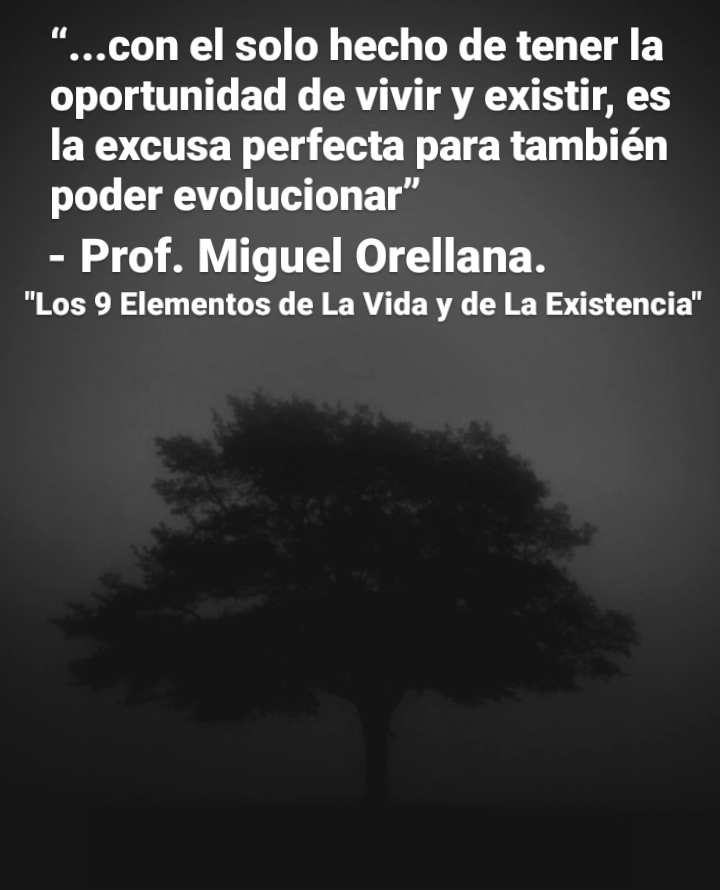 “...con el solo hecho de tener la
oportunidad de vivir y existir, es
la excusa perfecta para también
poder evolucionar”

- Prof. Miguel Orellana.
"Los 9 Elementos de La Vida y de La Existencia"