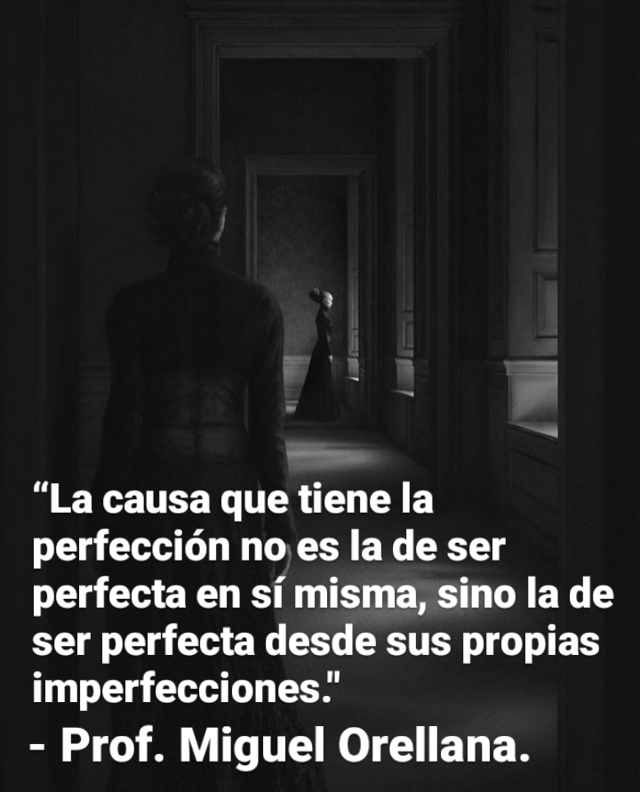 “La causa que tiene la
perfeccion no es la de ser
perfecta en si misma, sino la de
ser perfecta desde sus propias
imperfecciones.’

- Prof. Miguel Orellana.