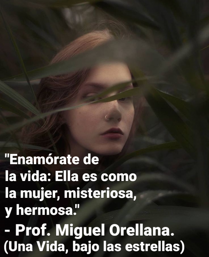 "Enamorate de

la vida: Ella es como
la mujer, misteriosa,
y hermosa.’

- Prof. Miguel Orellana.
(Una Vida, bajo las estrellas)