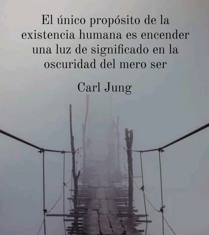 El tinico propdsito de la
existencia humana es encender
una luz de significado en la
oscuridad del mero ser

Carl Jung