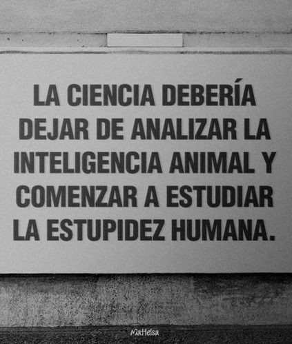 ee SA

LA CIENCIA DEBERIA
DEJAR DE ANALIZAR LA
INTELIGENCIA ANIMAL Y
COMENZAR A ESTUDIAR
LA ESTUPIDEZ HUMANA.