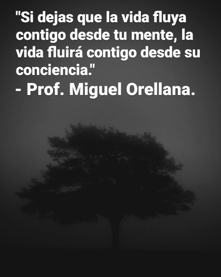 "Si dejas que la vida fluya
contigo desde tu mente, la
vida fluira contigo desde su
conciencia.'

- Prof. Miguel Orellana.