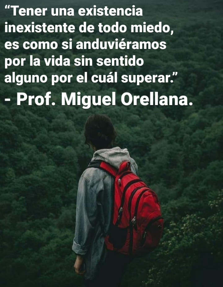 “Tener una existencia
inexistente de todo miedo,
es como si anduviéramos
por la vida sin sentido
alguno por el cual superar.”

- Prof. Miguel Orellana.

’ J
-