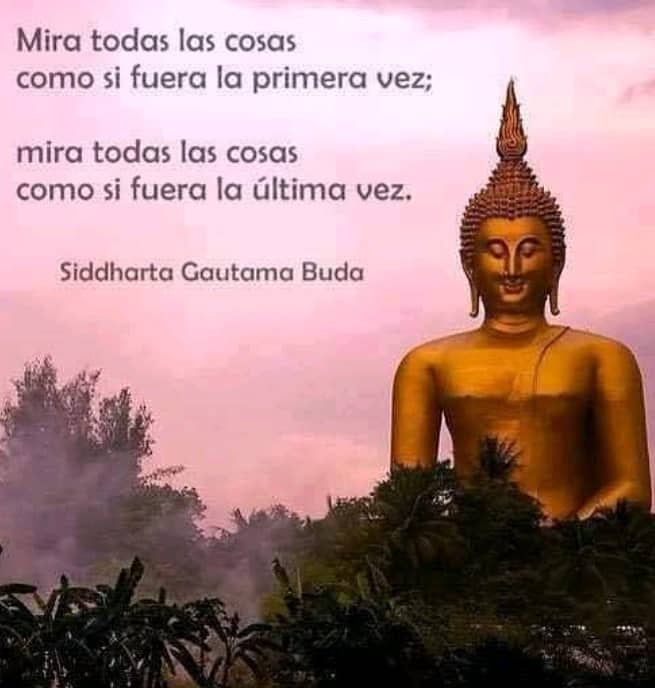 Mira todas las cosas
como si fuera la primera vez;

 
 
 
 
   

mira todas las cosas
como si fuera la dltima vez.

  

Siddharta Gautama Buda