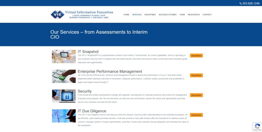 Our Services — from Assessments 10 Interim
Cio