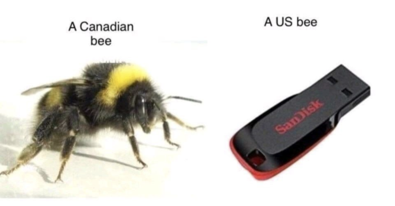 A Canadian A US bee
bee