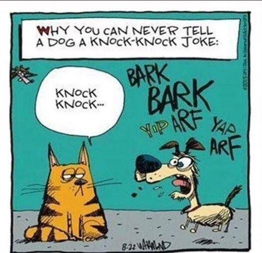 WHY You cAN NEVER TELL
A DOG A KNOcK-KNocK Joke:

BS