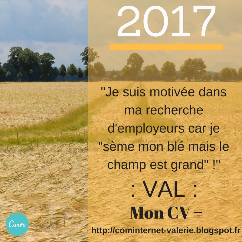 "Je suis motivée dans
ma recherche
d'employeurs car je

"sème mon blé mais le
champ est grand" !"

: VAL :
Mon CV =

ec.
~~ http:llcominternet-valerie.blogspot.fr
rs —
