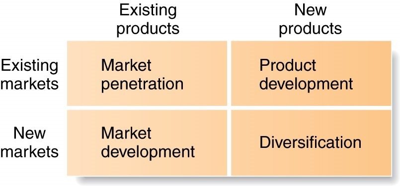Existing
markets

New
markets

Existing
products

Market
penetration

Market
development

New
products

Product
development

Diversification