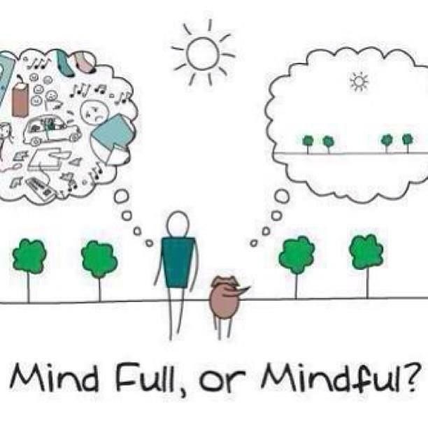 Mind Full, or Mindful?