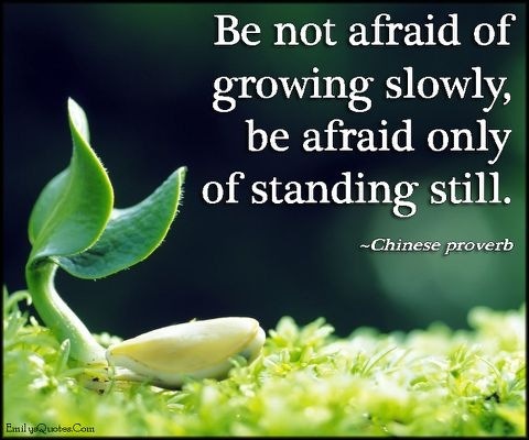 Be not afraid of
growing slowly,

be afraid only
of standing still.

RIL