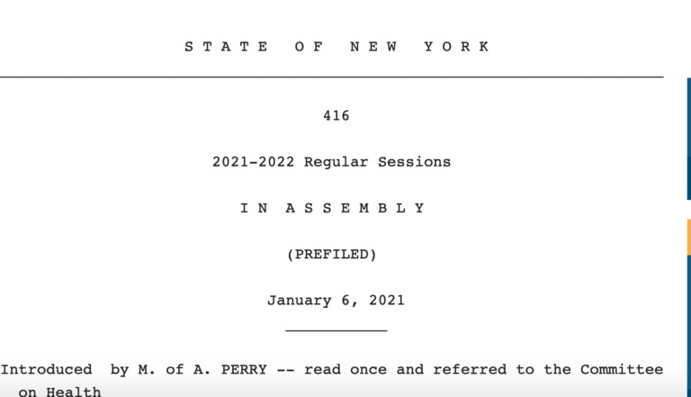 STATE OF NEW YORK

 

416

2021-2022 Regular Sessions

IN ASSEMBLY

(PREFILED)

January 6, 2021

Introduced by M. of A. PERRY -- read once and referred to the Committee
on Health