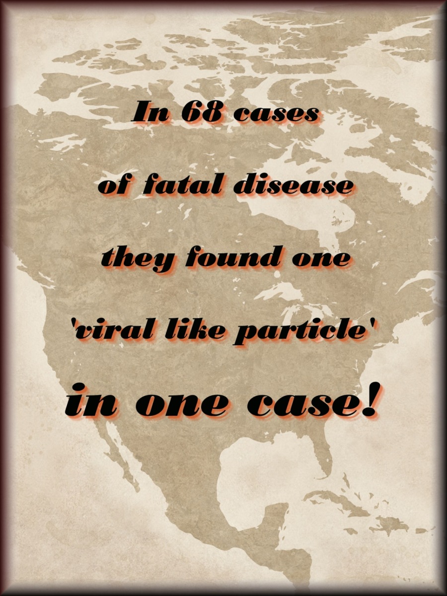 In 68 cases
of fatal disease
they found one

‘viral like particle’

in one case!