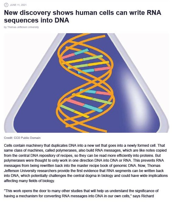New discovery shows human cells can write RNA
sequences into DNA

 

Cot contin machinery Pal GLOSCes DNA 1 a now sel al Goos 10 3 nowsy lormed cod Tht
Same Css Of machines, Caled foyer ase, #0 Dus RNA Message, whch arr Ike notes coped
rom the Contra DNA secon of Ope. 50 Fury Can be iad more olionedly io protees. Bul
Fotymnrzies weve ROUGH 10 orfy work 1 cre HTIon [INA mio DNA of RNA Tres prrverts HNA
amg Form Deg rEwrBon back £30 Ta Pantie foce book of gece DNA. Now, Thames
Jonon Linker uty roscarchion prove Tie st evidence hat HINA Scomonts Can bo ween tack
180 INA, whch pofentially Challenges The Contras Gog 1 Cakogy and Cou hve wide ICAO.
‘2ocsng many Sekt of tkogy.

“Ths work pens the Gos 10 mary ofr S8A30S Tat wil help US UNSErand Far UOCAnCE of
hiring 3 mechan for Comes tig NA Ferisages mio DNA © Out Own cols,” says Richard