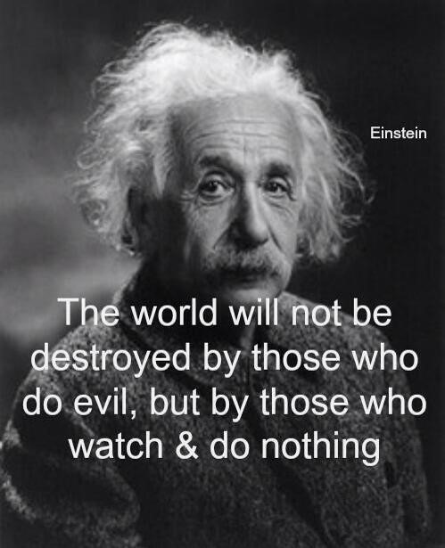 EEE troyed by hes Who
ele evil, but by those who
* watch & do nothing

LY