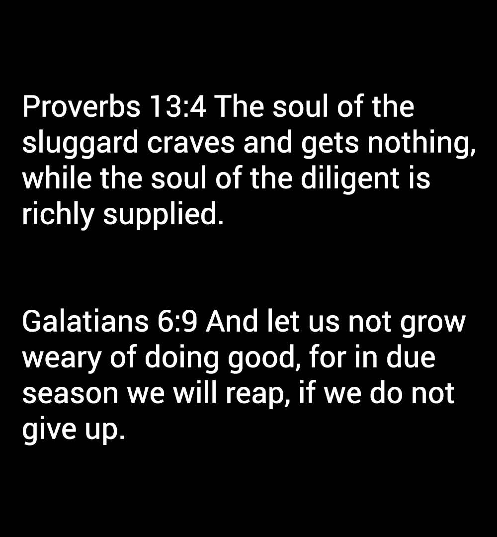 Proverbs from the Bible about hard work and diligence - Proverbs 13:4 The soul of the
sluggard craves and gets nothing,
while the soul of the diligent is
richly supplied.

Galatians 6:9 And let us not grow
weary of doing good, for in due
season we will reap, if we do not
give up.