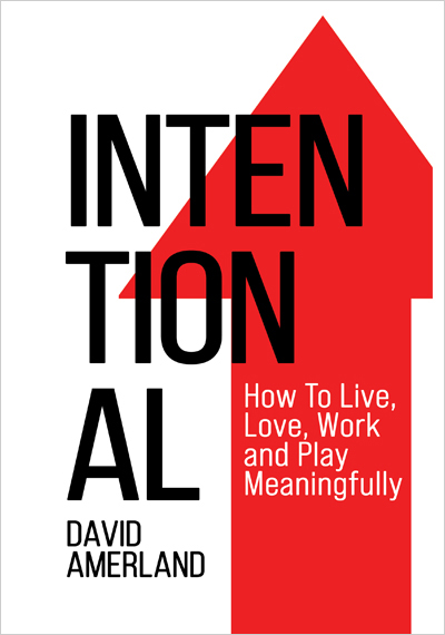 How To Live,
Love, Work
and Play
Meaningfully

    

DAVID
AMERLAND