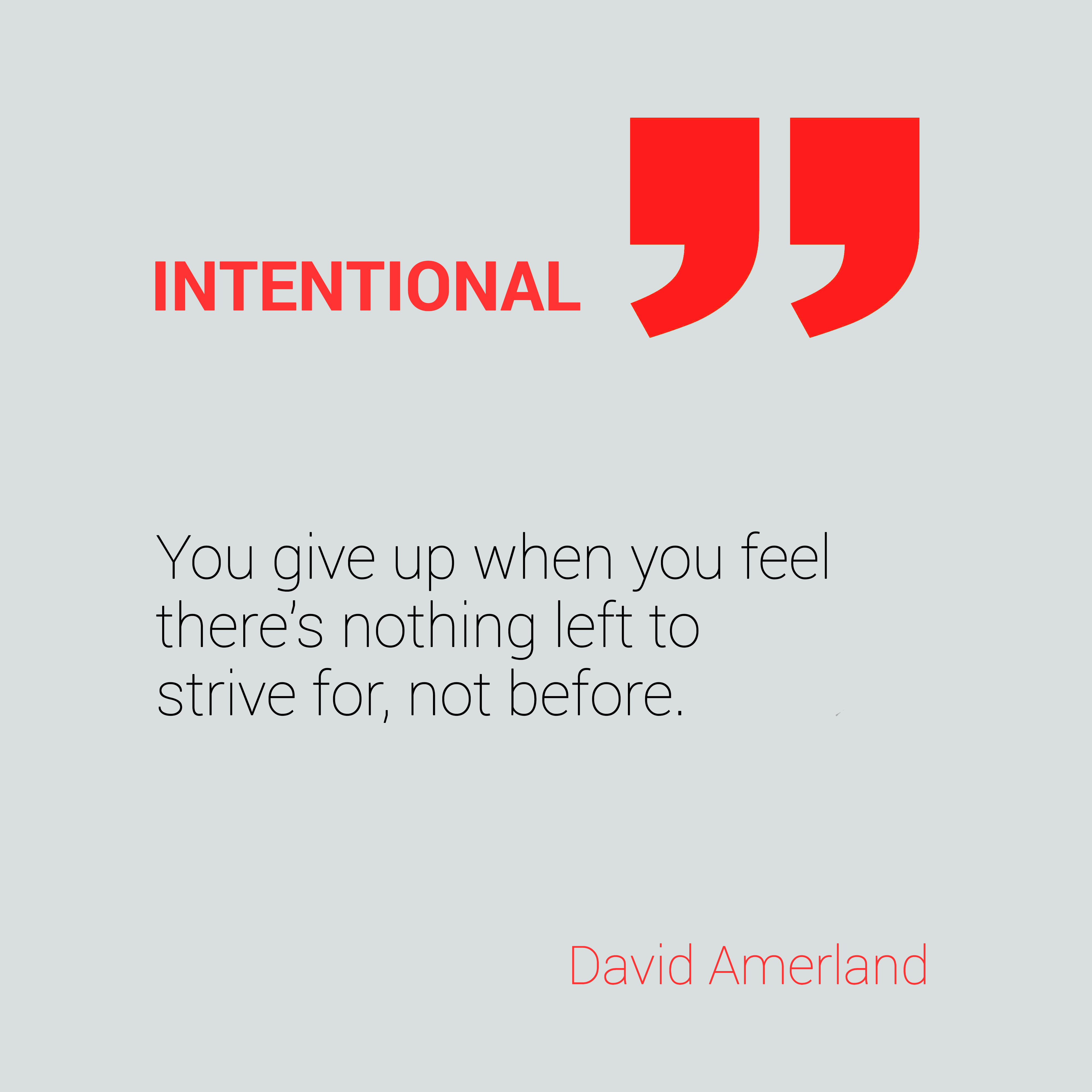 INTENTIONAL 5 5

You give up when you fee
there's nothing left to
strive for, not before.

David Amerland