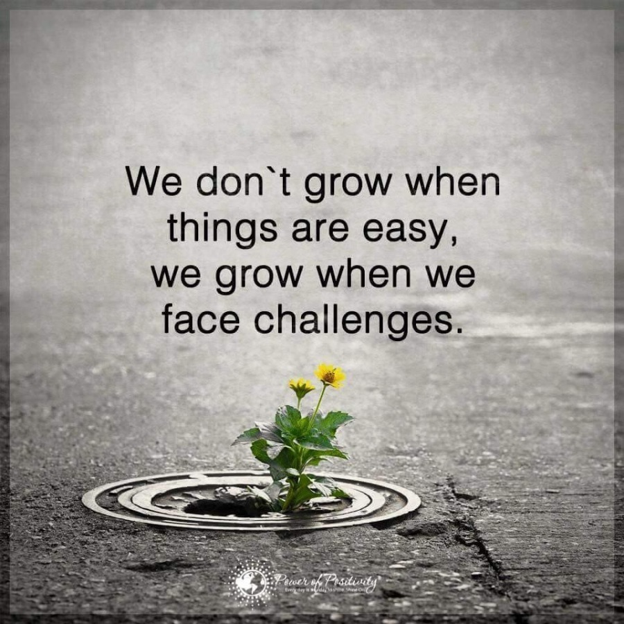LERNER

   
     

We don't grow when
things are easy, i
we grow when we
face challenges.