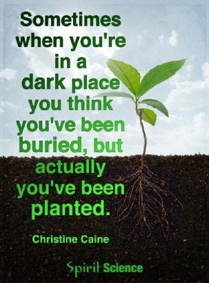 Sometimes
when you're
ina
dark place
you think
you've be

burie
actually

you've been
planted.

  
   

>

 
    

Christine Caine