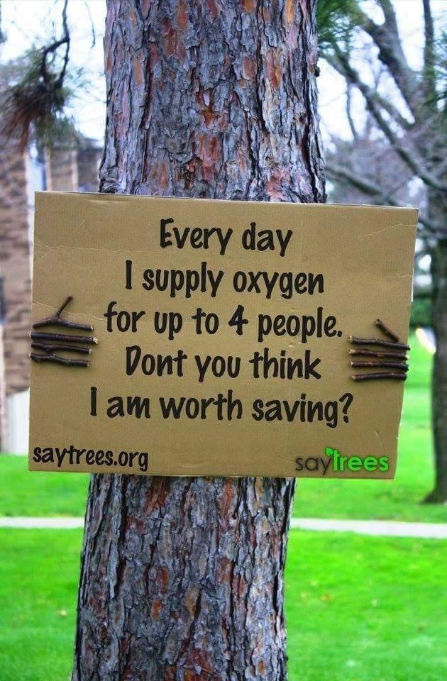 I supply oxygen

2 for up to 4 people.
Pont you think

| am worth savings