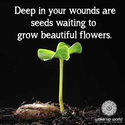 Deep in your wounds are
seeds waiting to
grow beautiful flowers.