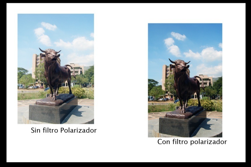Sin filtro Polarizador

- dl
Con filtro polarizador