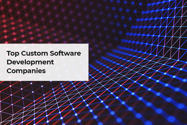 Top Custom Software
Development
Companies

  

AR