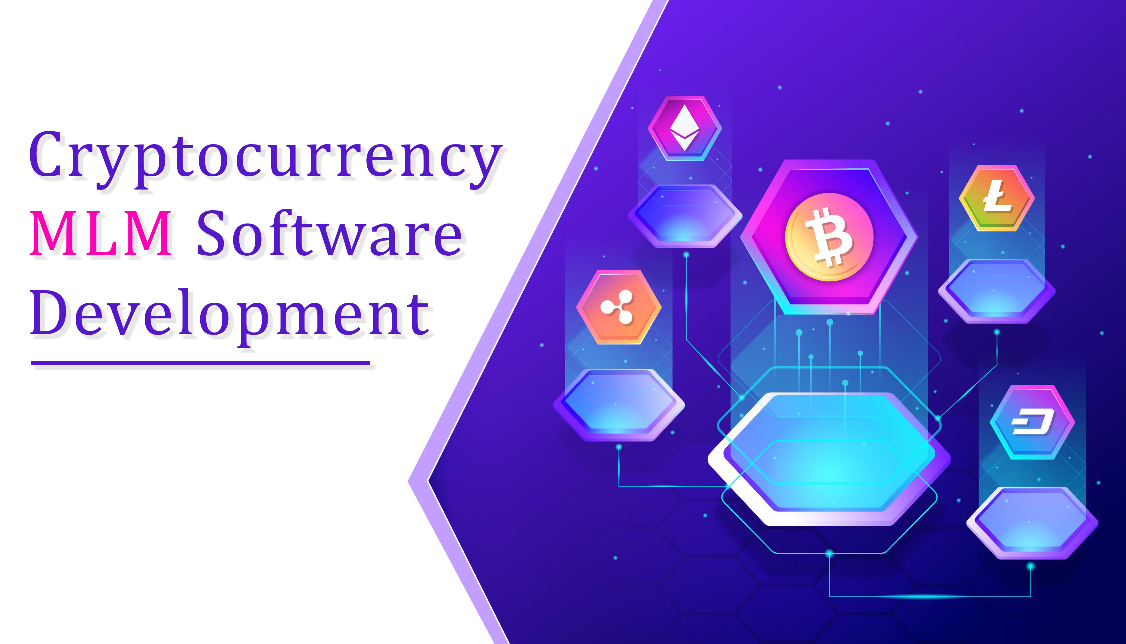 Cryptocurrency
MLM Software
Development