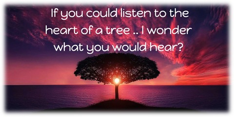 If you could listen to the
heart of a tree .. | wonder
what you would hear?