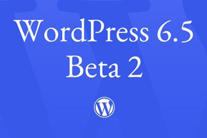 WordPress 6.5
Se
WW