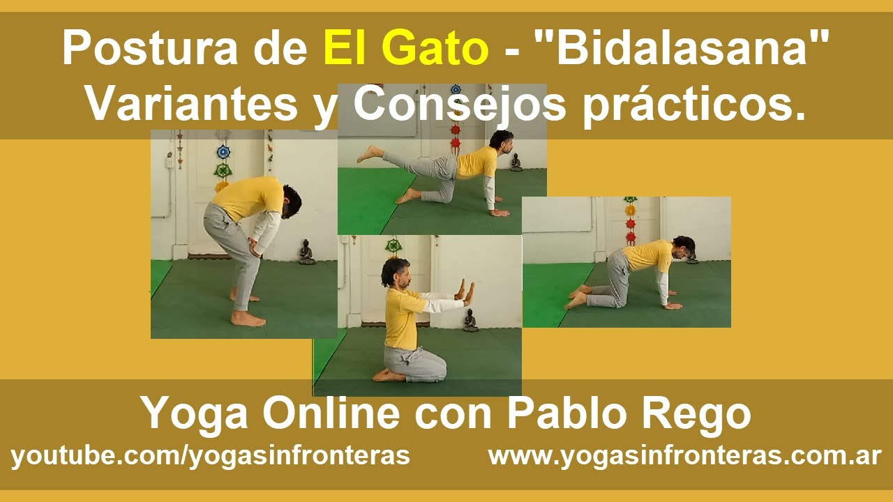 Postura de El Gato - "Bidalasana™
Variantes y Consejos practicos.

v
‘

       

Ng

Yoga Online con Pablo Rego

youtube.com/yogasinfronteras www.yogasinfronteras.com.ar