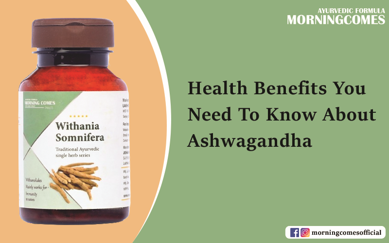Health Benefits You
A Need To Know About
Somnifera Ashwagandha

Tve——

HI@ mormingeomesotticial