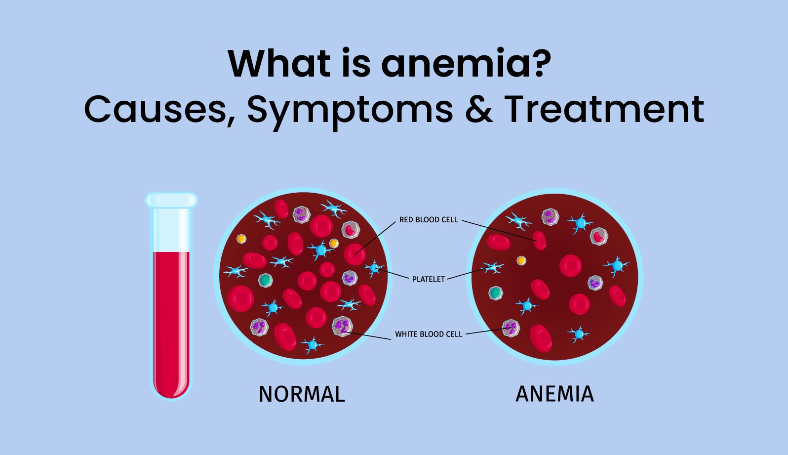 What is anemia?
Causes, Symptoms & Treatment

 

NORMAL ANEMIA