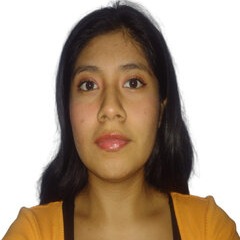 JUDITH JIMENA CHAMBI ORTIZ