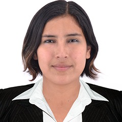 Kari Mariley Castillo Medina
