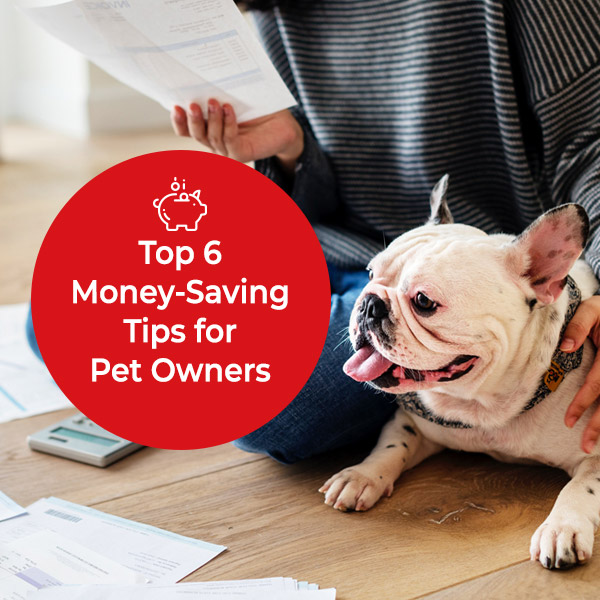 0!
Top 6 =
(YLT [SASH o Te}
Tips for
Pet Owners