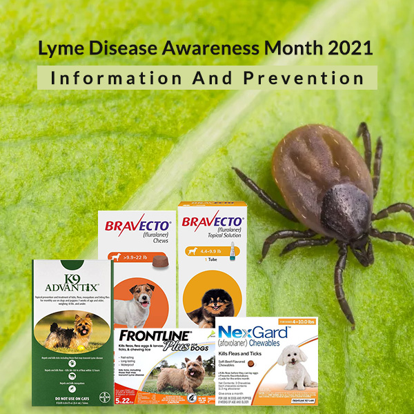 Lyme Disease Awareness Month 2021
Information And Prevention

   
     

# a
BRAVECTO' BRAVECTO

  

ww
9
AiRnix